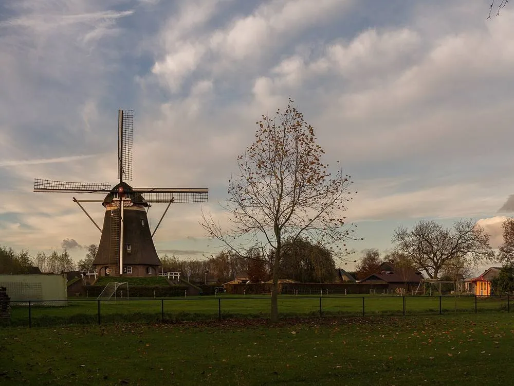Winssen: Winssen, de Beatrixmolen RM9561 foto9 2014-11-24 15.33